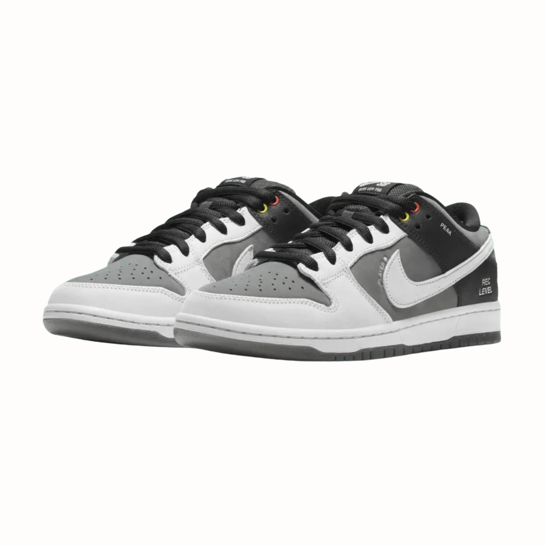 Nike SB Dunk Low VX1000 Camcorder-2
