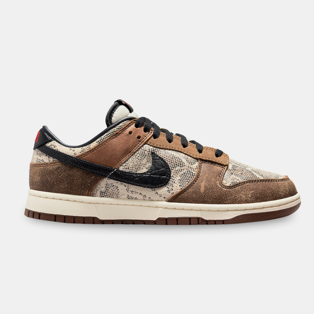 Nike Dunk Low CO.JP FJ5434-120