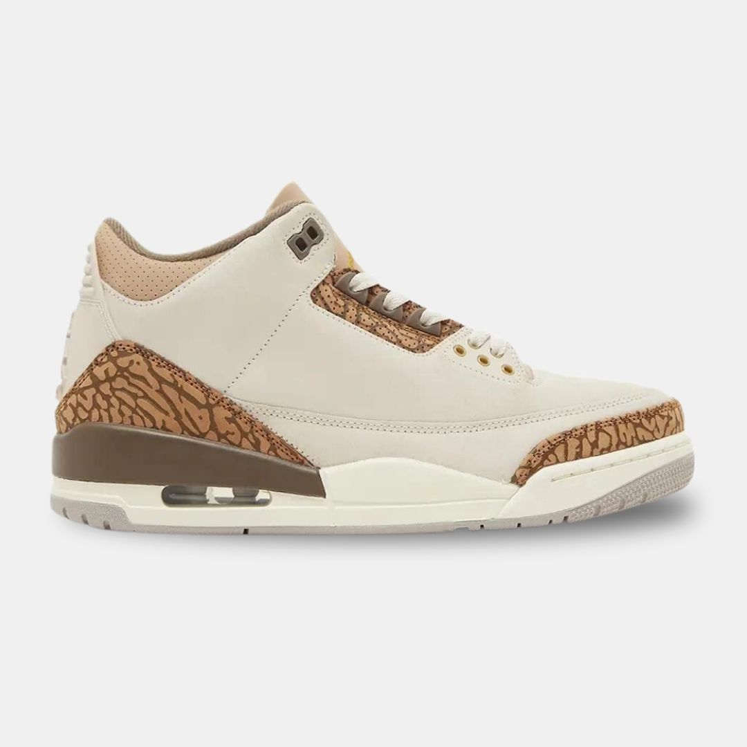 Air Jordan 3 “Palomino” CT8532-102