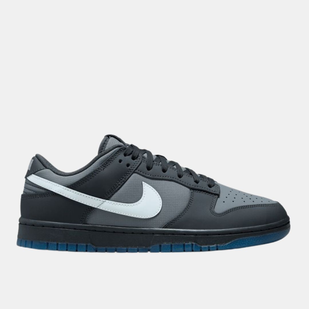 Nike Dunk Low “Anthracite” FV0384-001