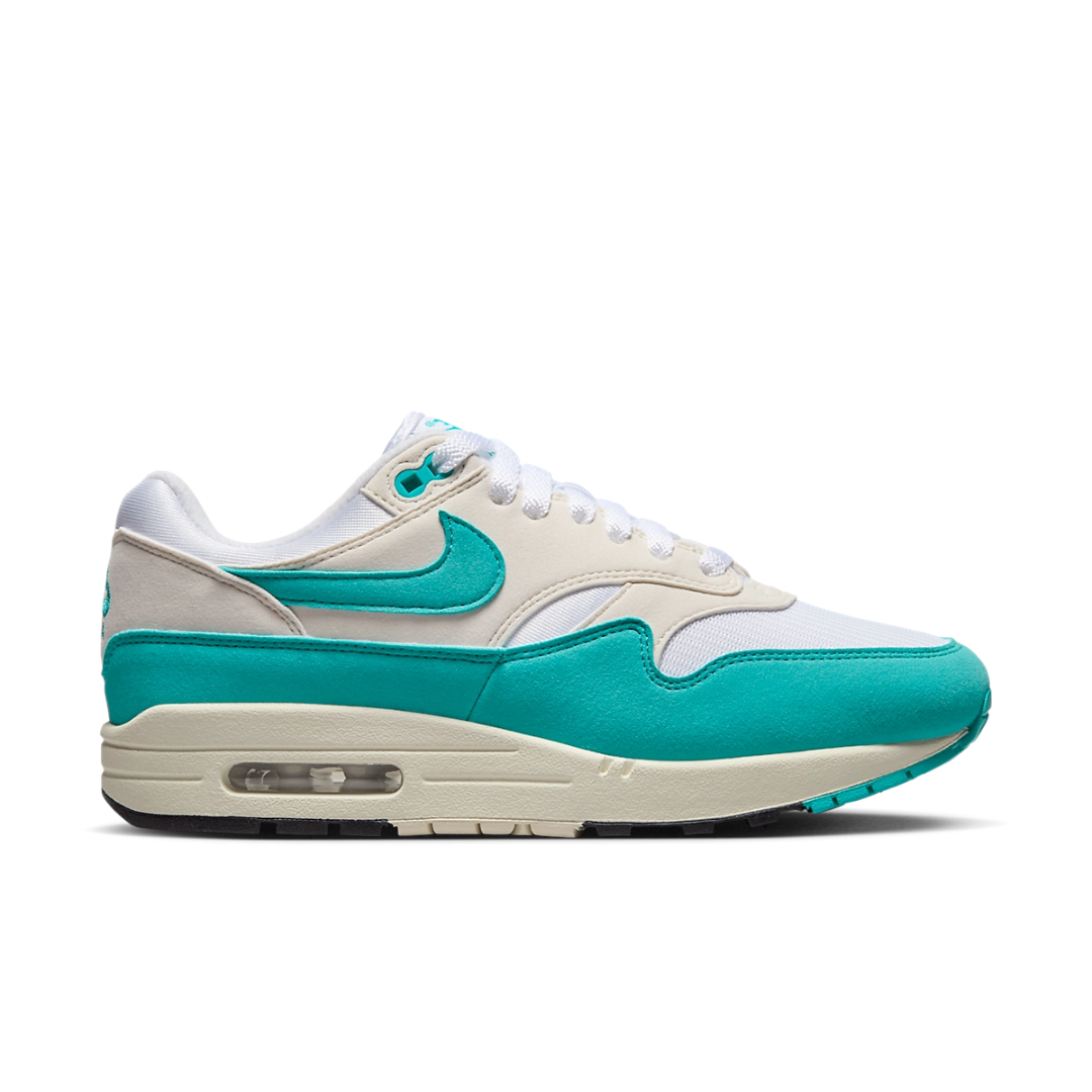 Nike Air Max 1 WMNS ‘Dusty Cactus’ DZ2628-107
