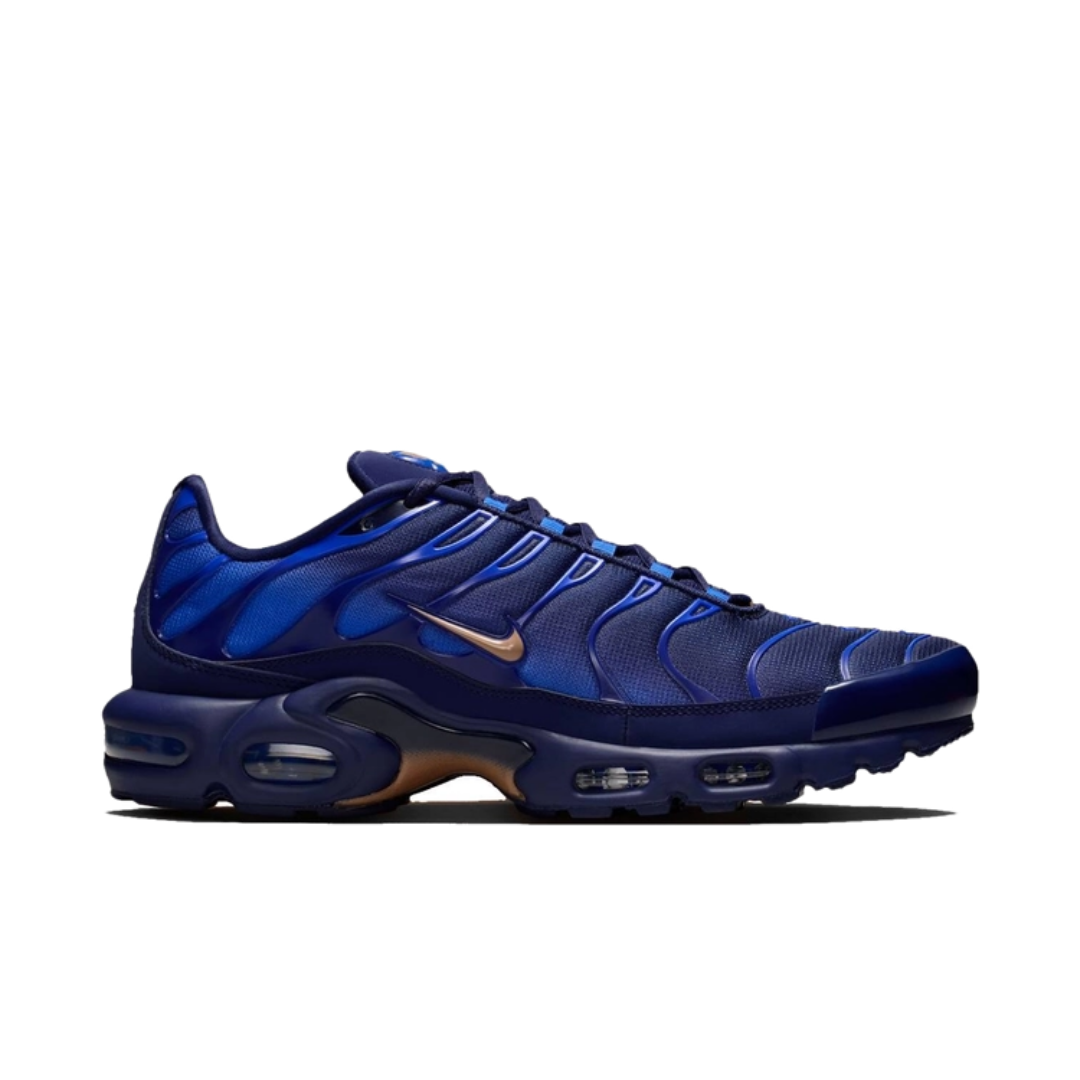 Nike Air Max Plus ‘French Football Federation’ IQ0170-400