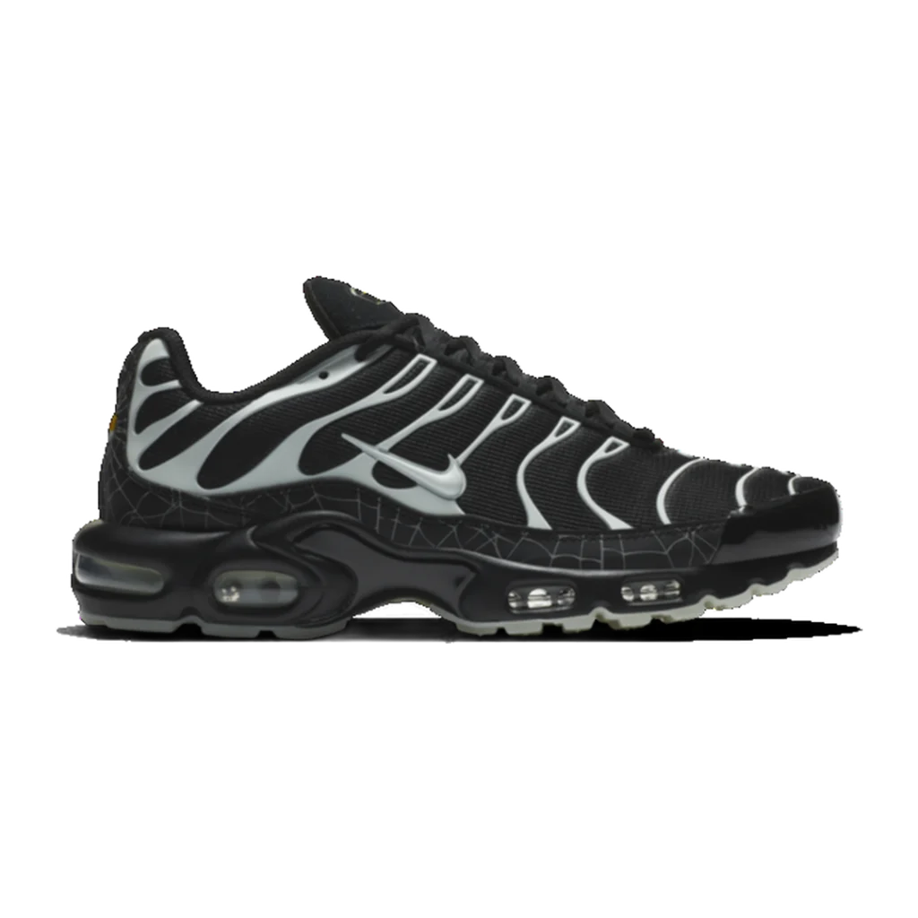 Nike Air Max Plus ‘Spider Web’ DD4004-001